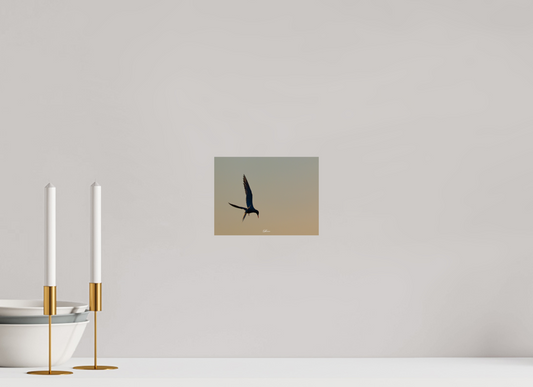 20 x 15 cm, Photo Print On Fuji Crystal DP II Between Heaven and Earth