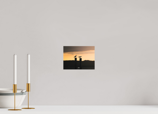 20 x 15 cm, Aluminum Evening call