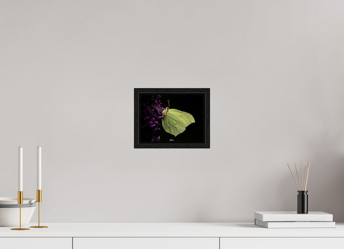 20 x 15 cm, Floater Frame Common brimstone