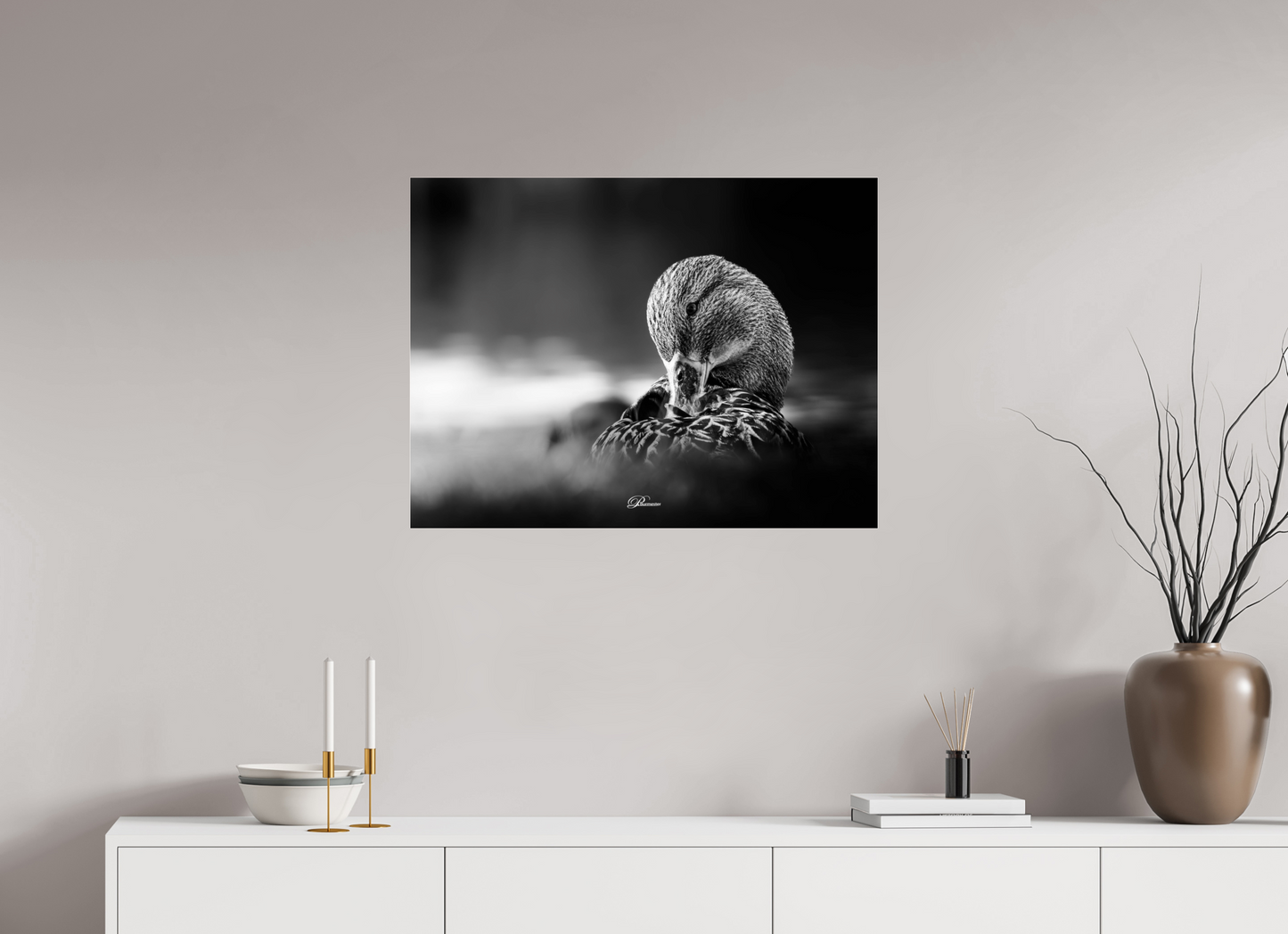 80 x 60 cm, Acrylíc glass BW Shining