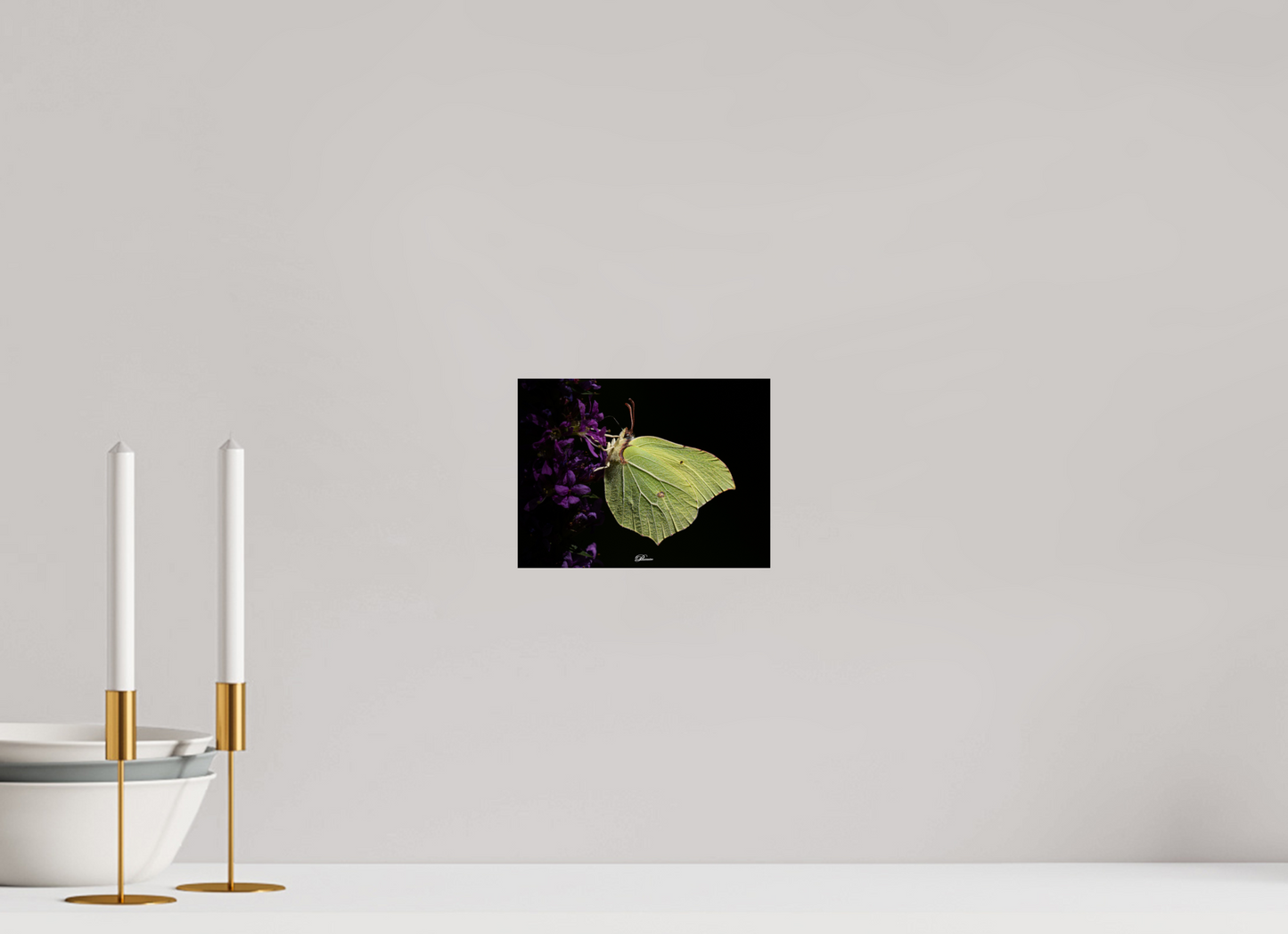 20 x 15 cm, Photo Print On Fuji Crystal DP II Common brimstone