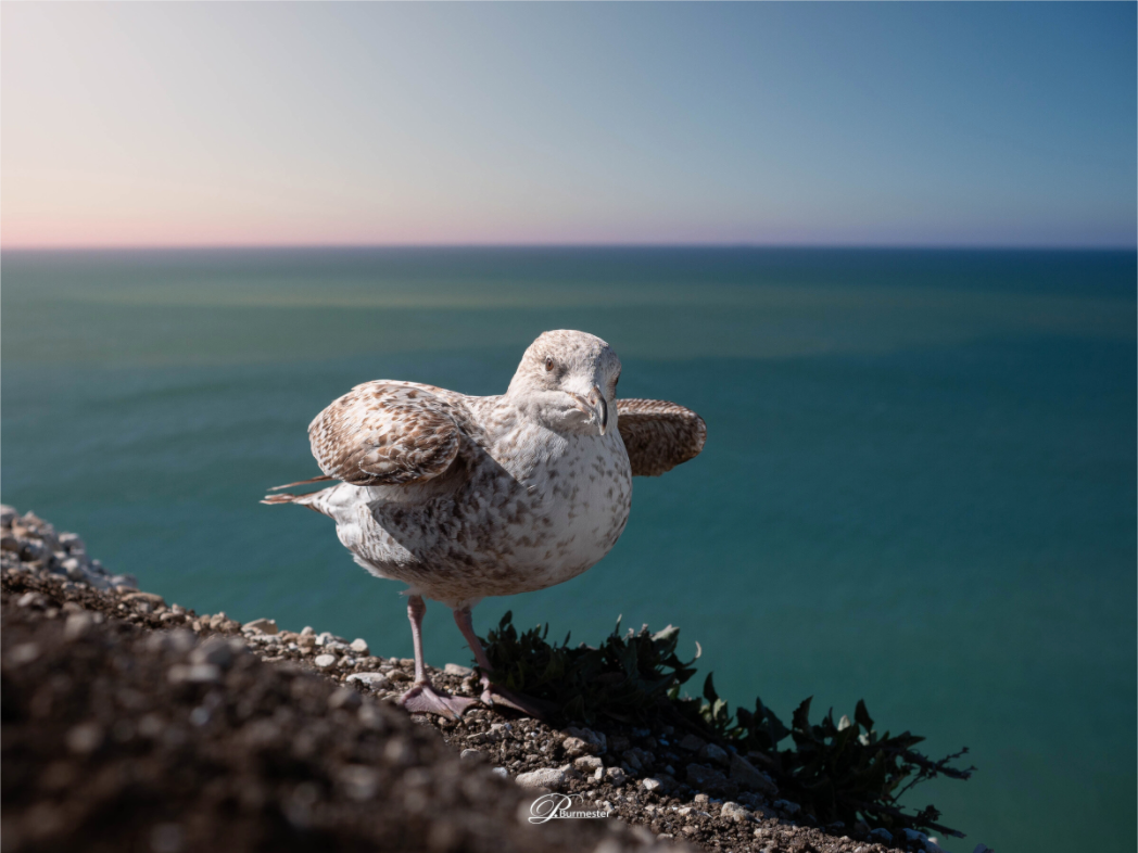 Main image On the edge