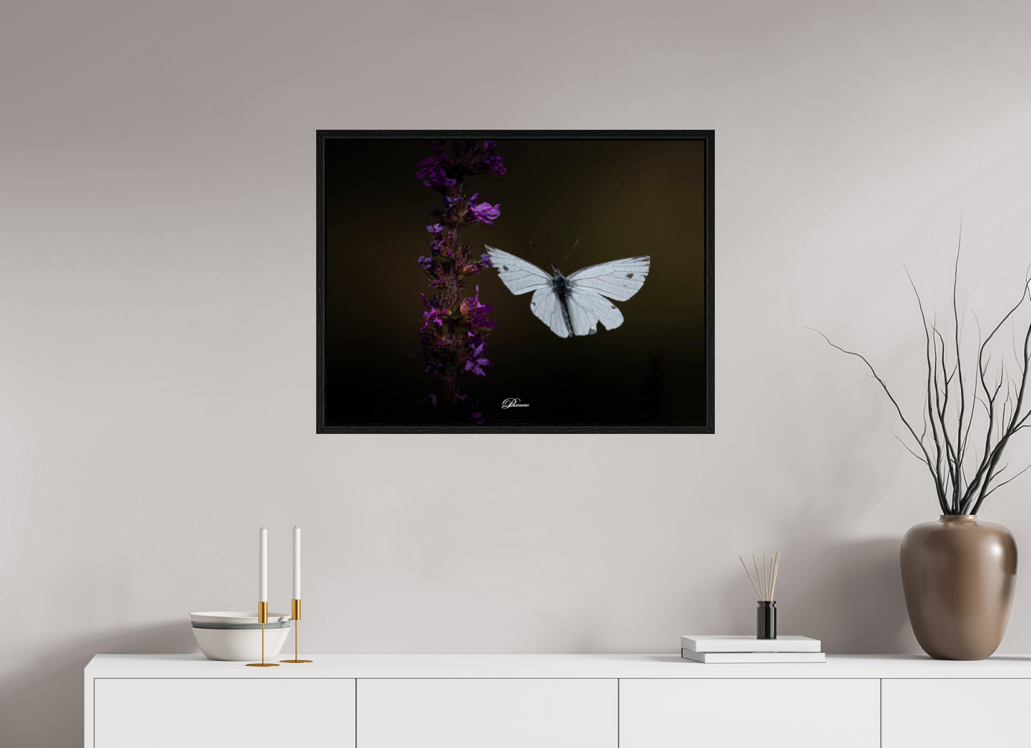 80 x 60 cm, Floater Frame Green-veined white