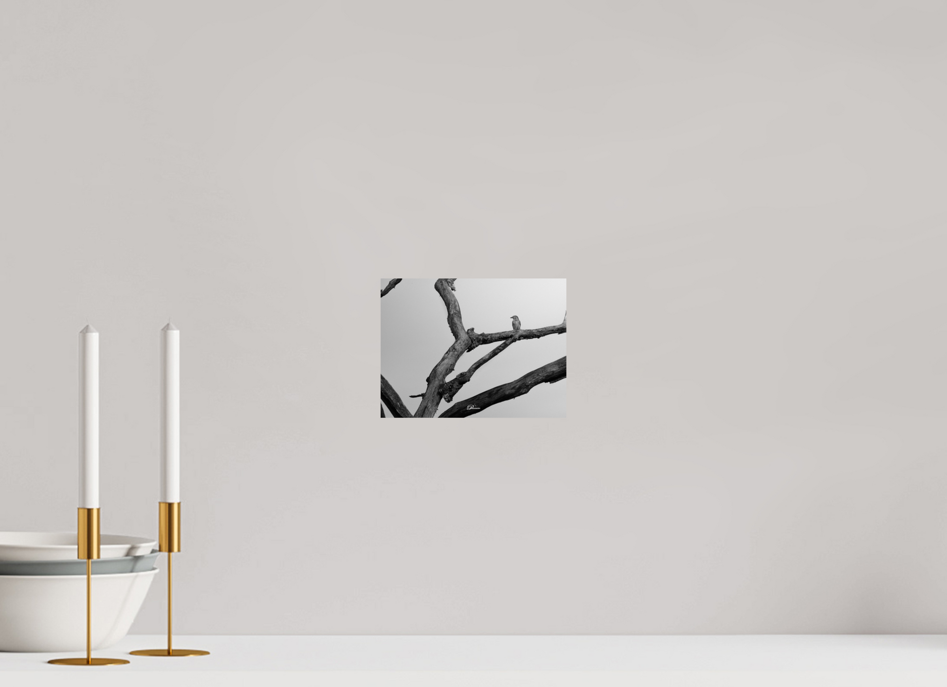 20 x 15 cm, Standard print Lost in transience