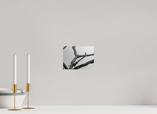 20 x 15 cm, Standard print Lost in transience