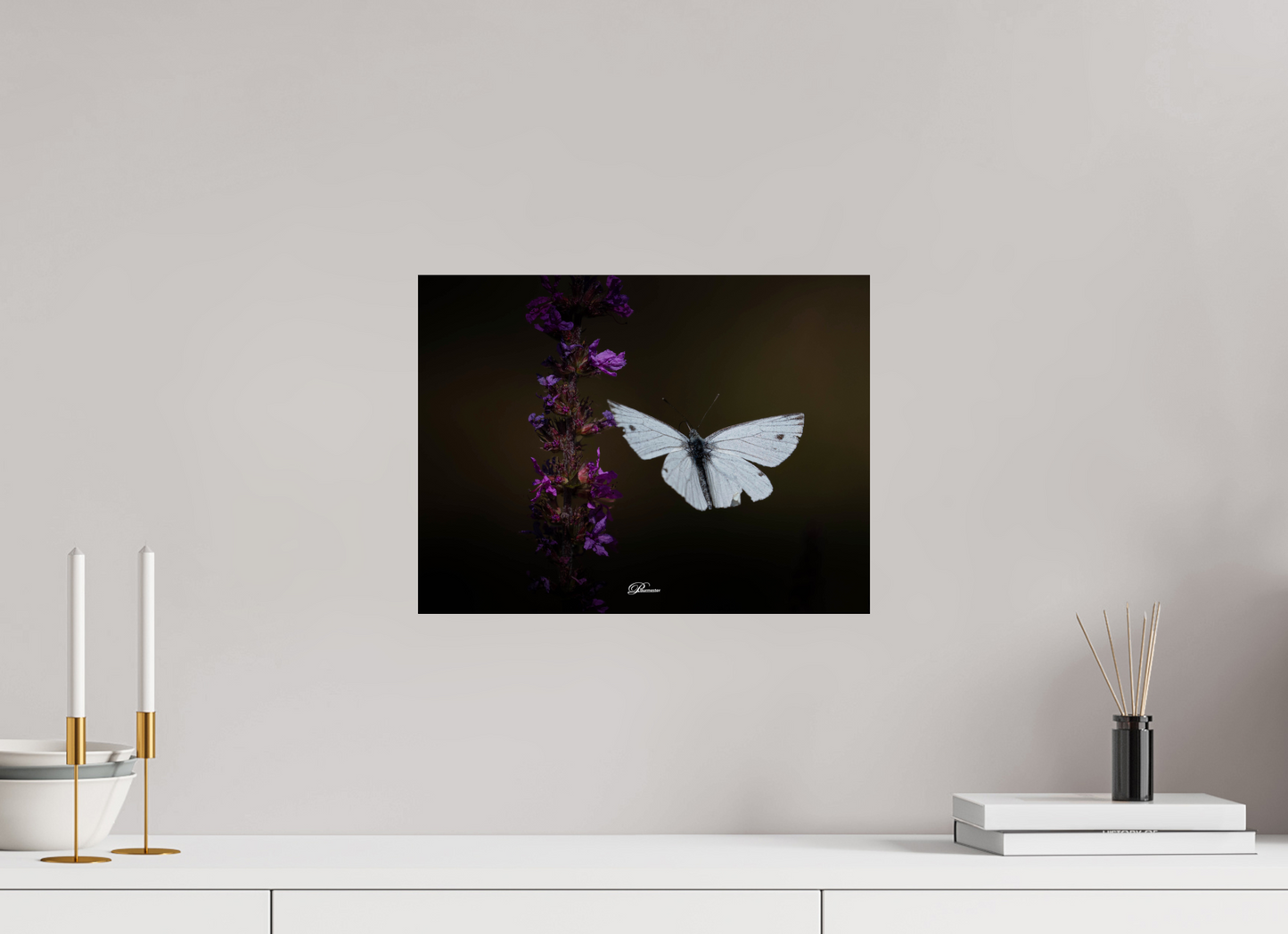 40 x 30 cm, Photo Print On Fuji Crystal DP II Green-veined white