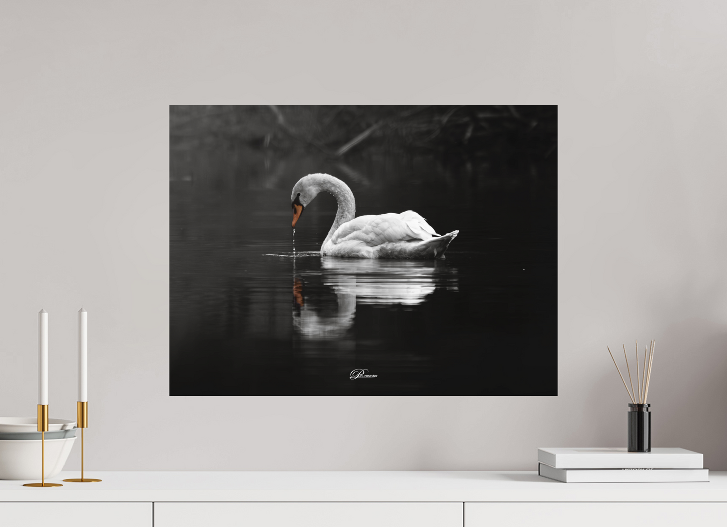 60 x 45 cm, Aluminum Mute swan