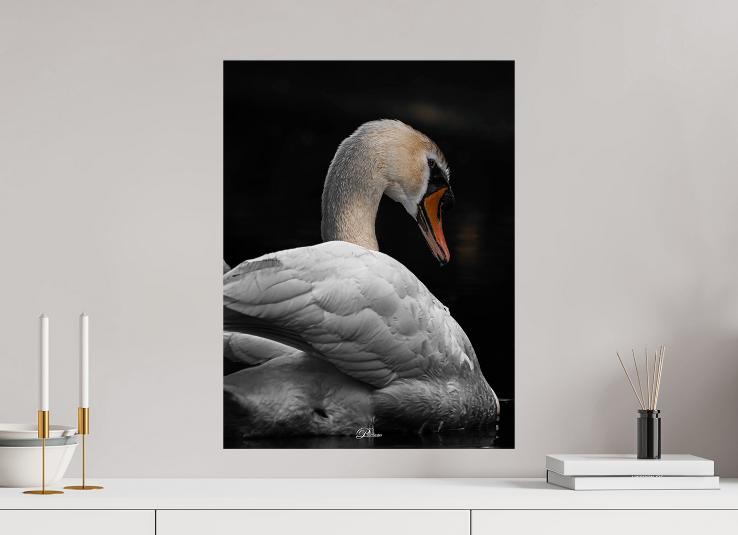 45 x 60 cm, Photo Print On Fuji Crystal DP II White Pride