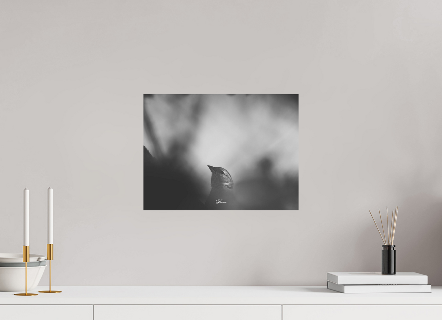 40 x 30 cm, Standard print The Shadow`s Echo