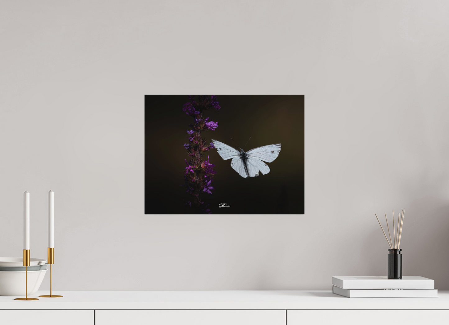40 x 30 cm, Aluminum Green-veined white