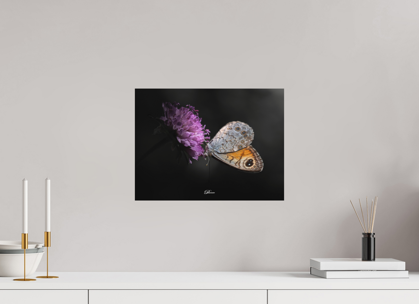 40 x 30 cm, Aluminum Wall Brown in the Gorges du Verdon