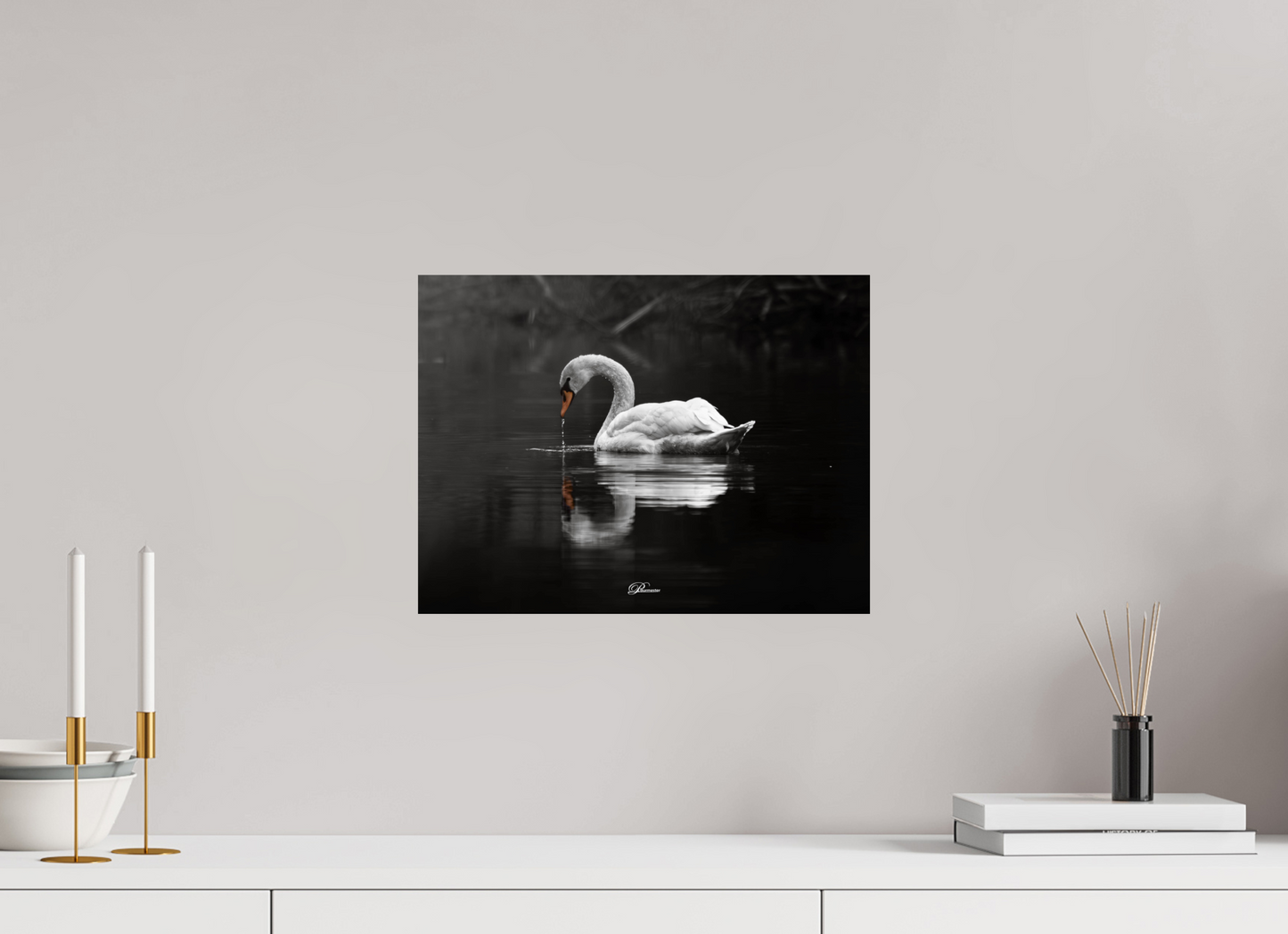40 x 30 cm, Standard print Mute swan