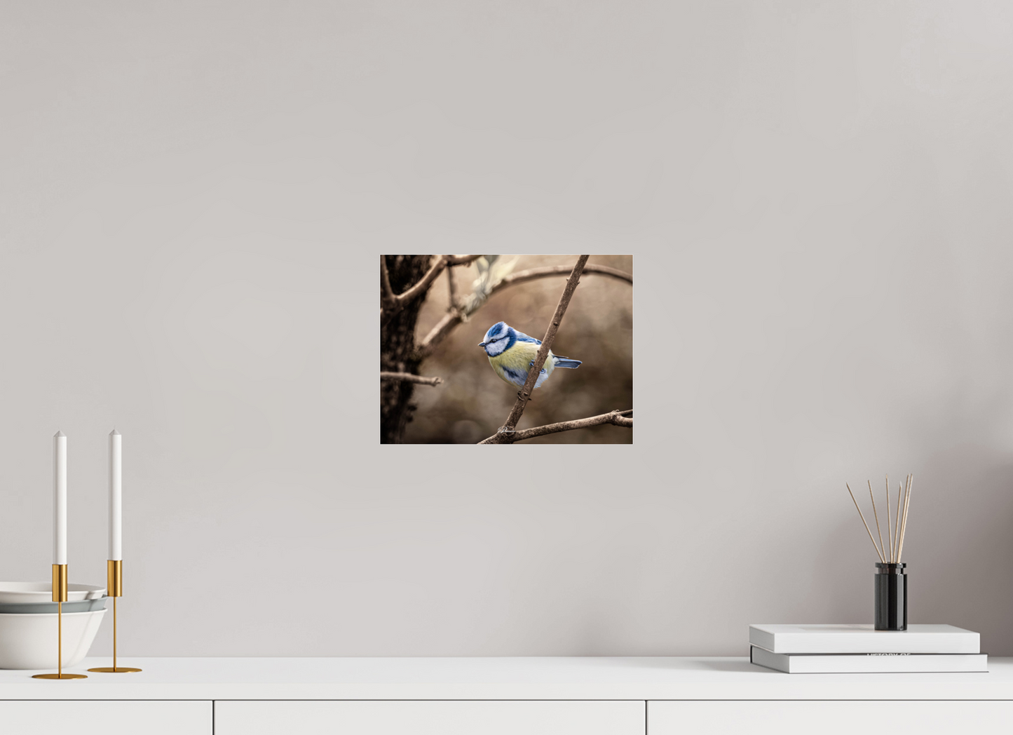 28 x 21 cm, Photo Print Under Acrylic Glass Blue tit