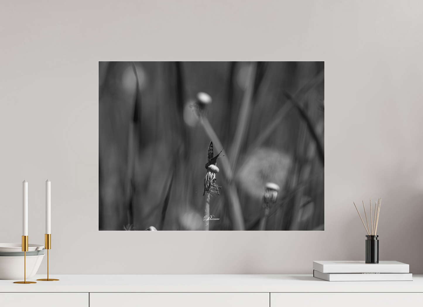 60 x 45 cm, Acrylíc glass BW The beauty of the small