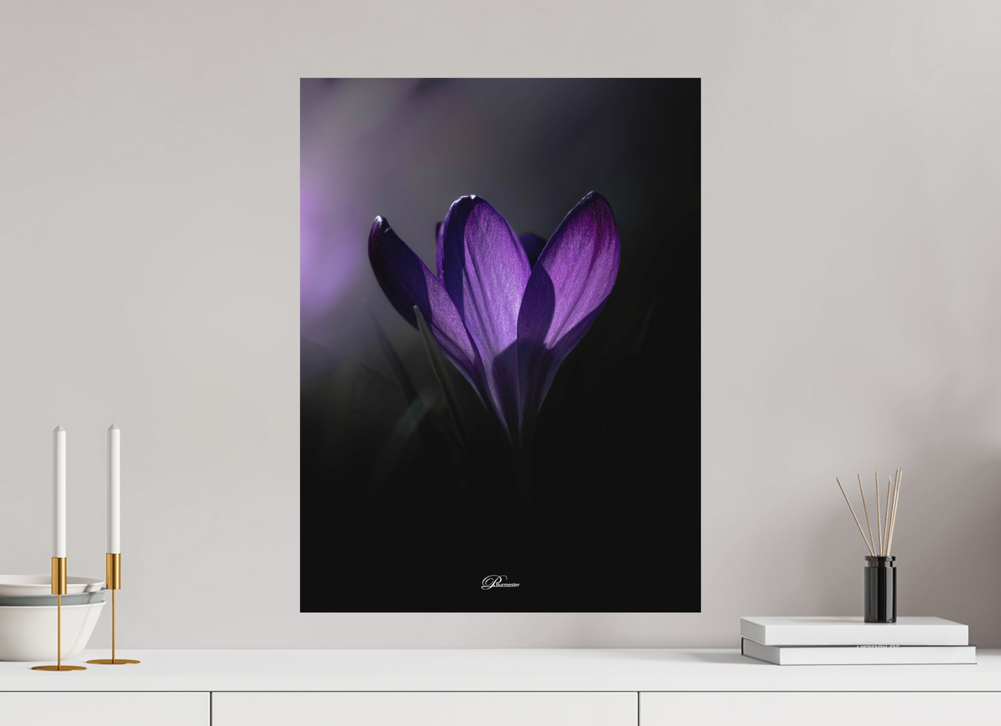 45 x 60 cm, Aluminum Purple crocus