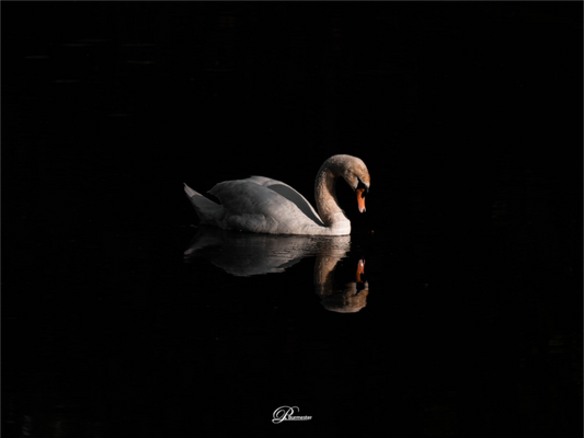 Main image Gleam of Light