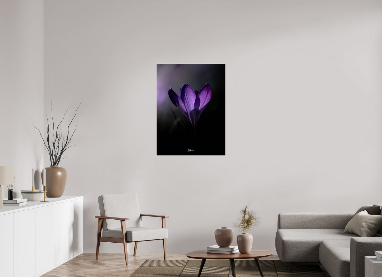75 x 100 cm, Photo Print Under Acrylic Glass Purple crocus