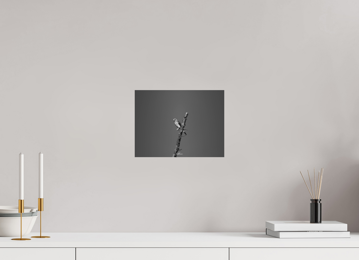 28 x 21 cm, Aluminum Watching predator