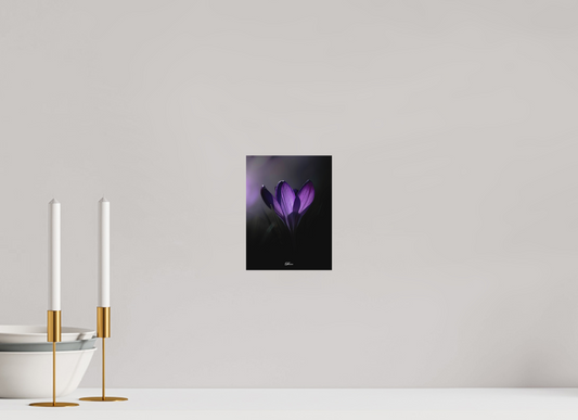 15 x 20 cm, Aluminum Purple crocus