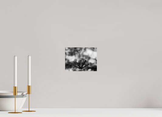 20 x 15 cm, Standard print Rising