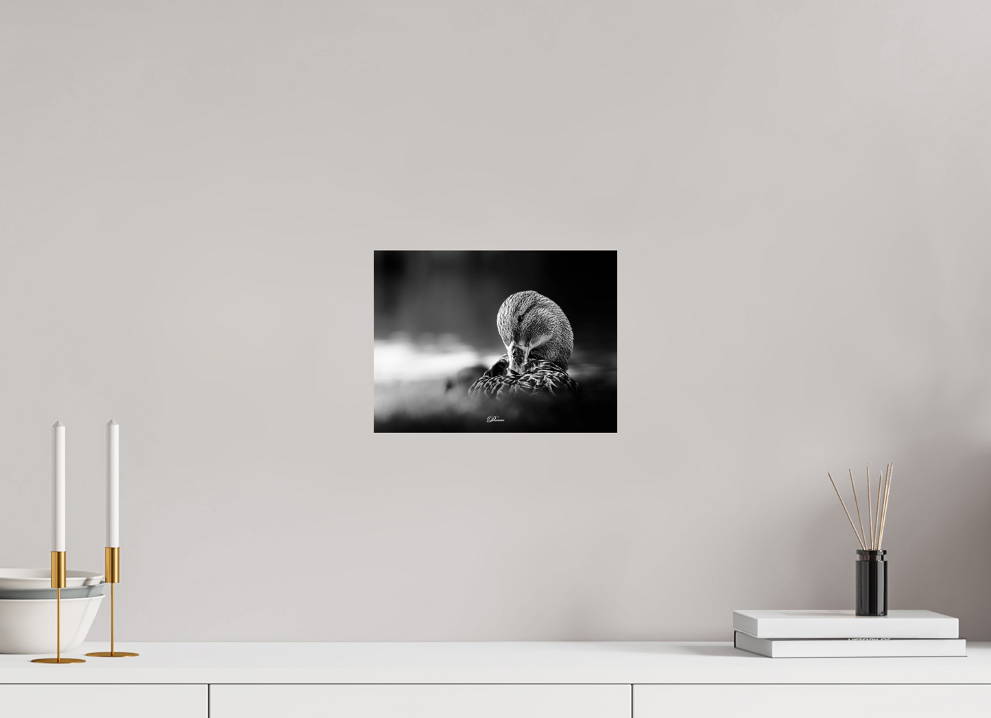 28 x 21 cm, Standard print Shining