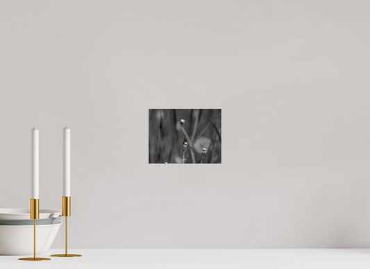 20 x 15 cm, Standard print The beauty of the small