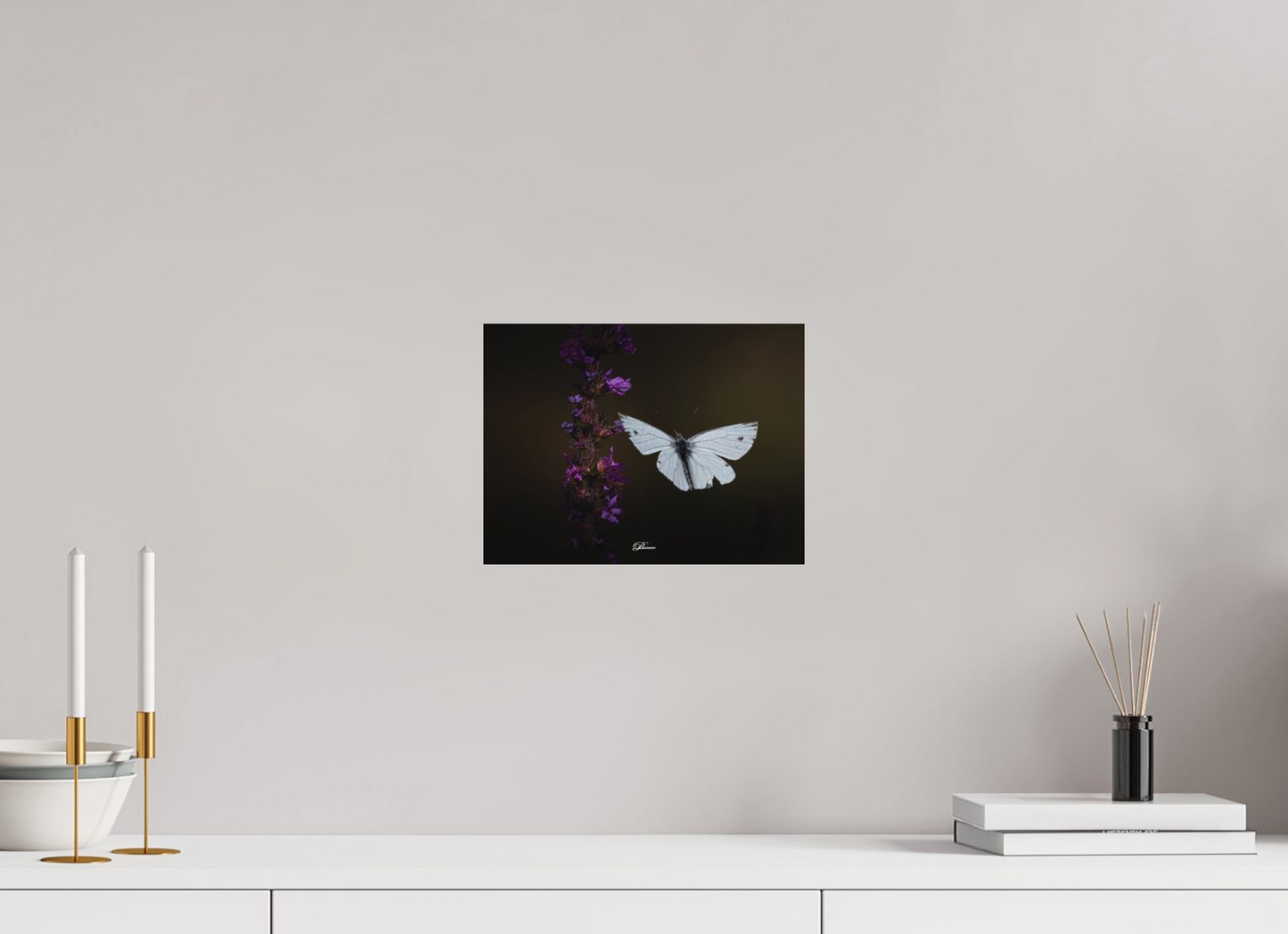 28 x 21 cm, Aluminum Green-veined white