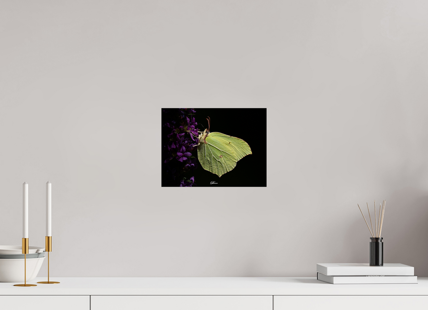 28 x 21 cm, Photo Print On Fuji Crystal DP II Common brimstone