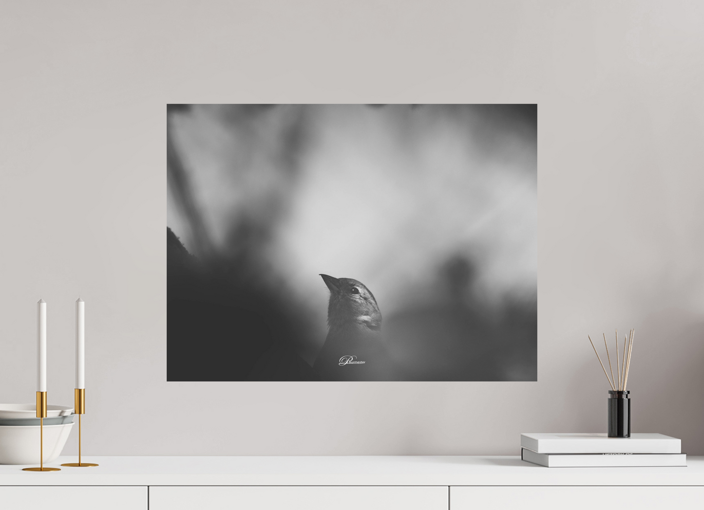 60 x 45 cm, Standard print The Shadow`s Echo