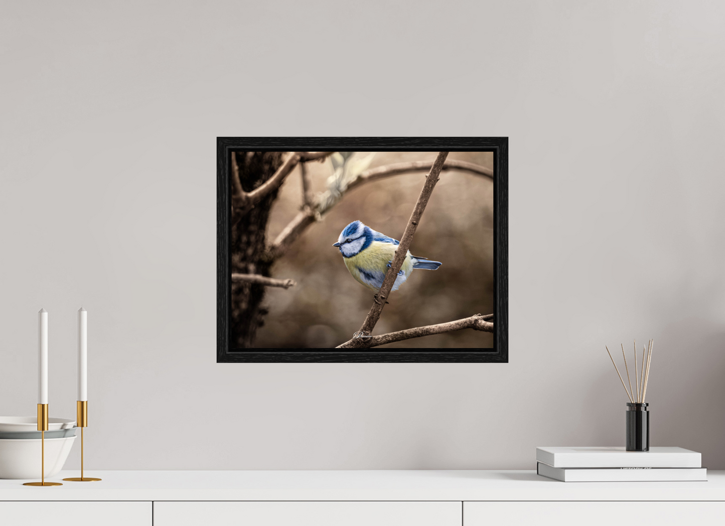 40 x 30 cm, Floater Frame Blue tit