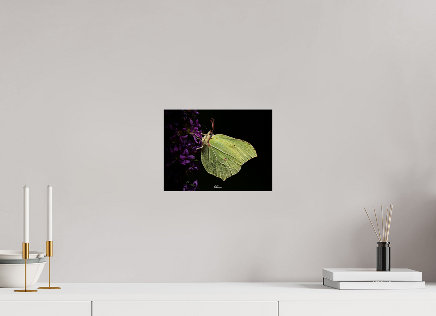 28 x 21 cm, Photo Print Under Acrylic Glass Common brimstone