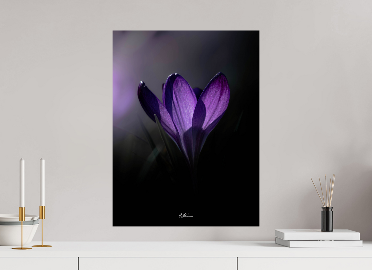 45 x 60 cm, Photo Print On Fuji Crystal DP II Purple crocus