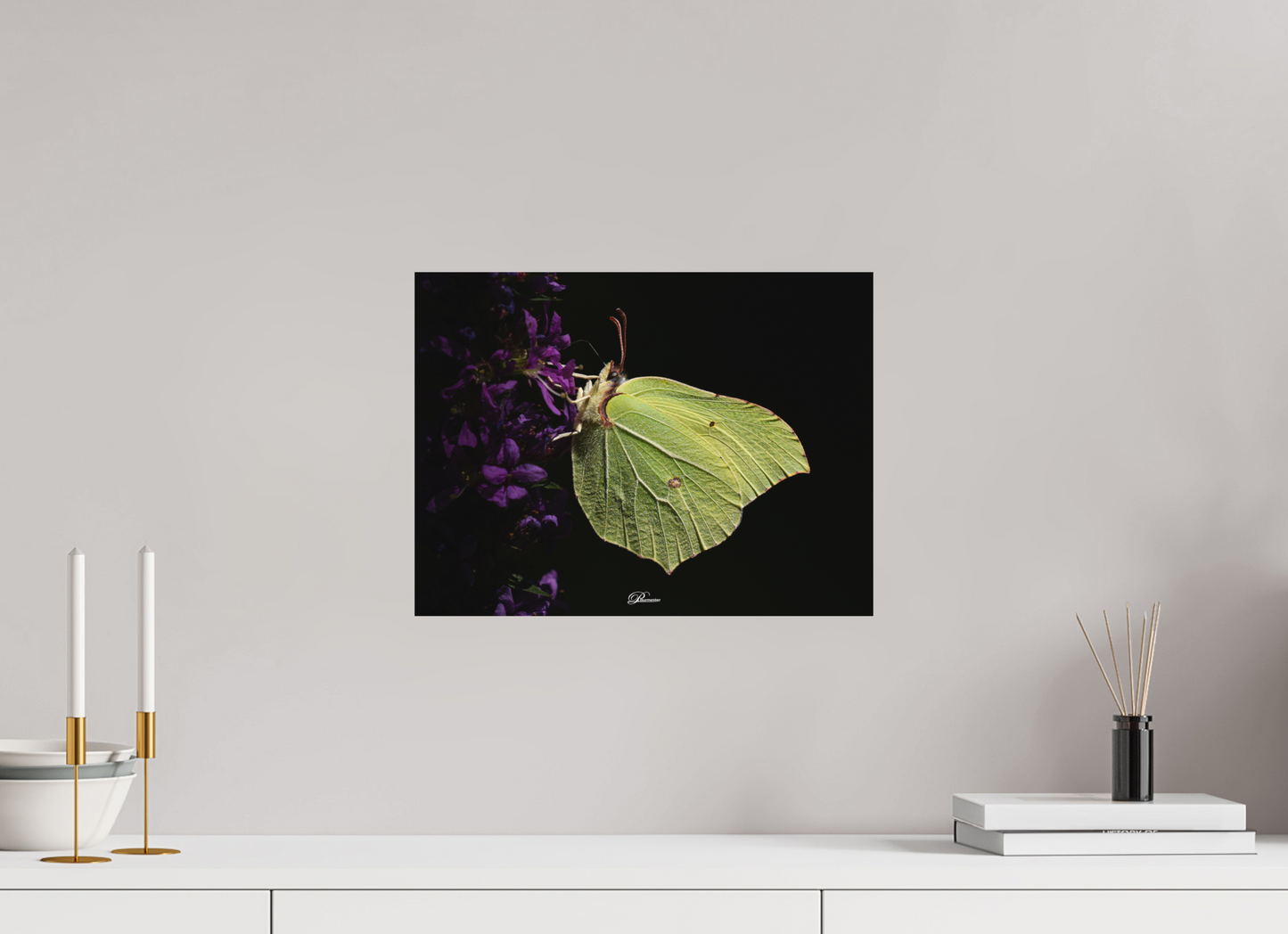 40 x 30 cm, Aluminum Common brimstone