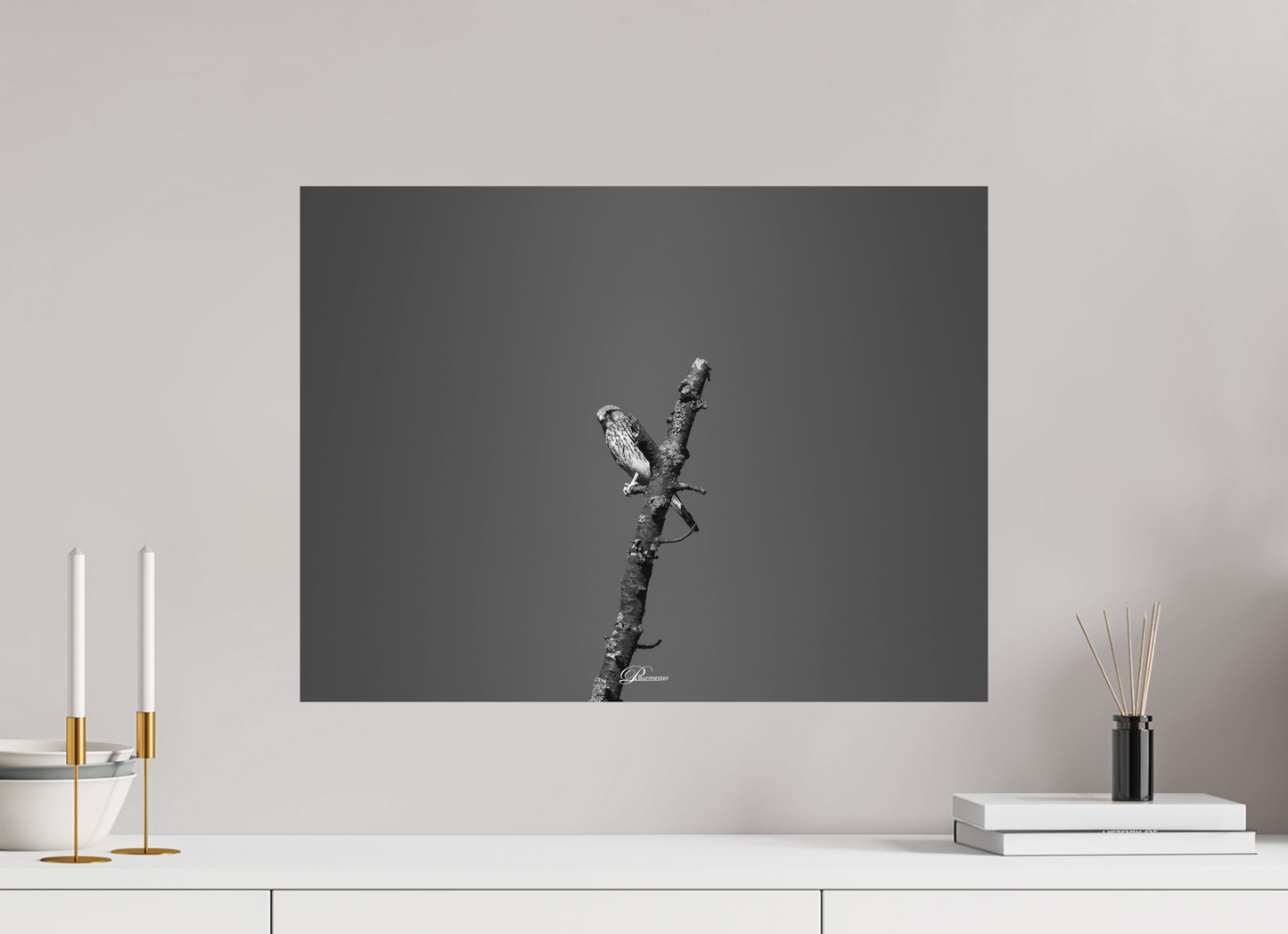 60 x 45 cm, Aluminum Watching predator