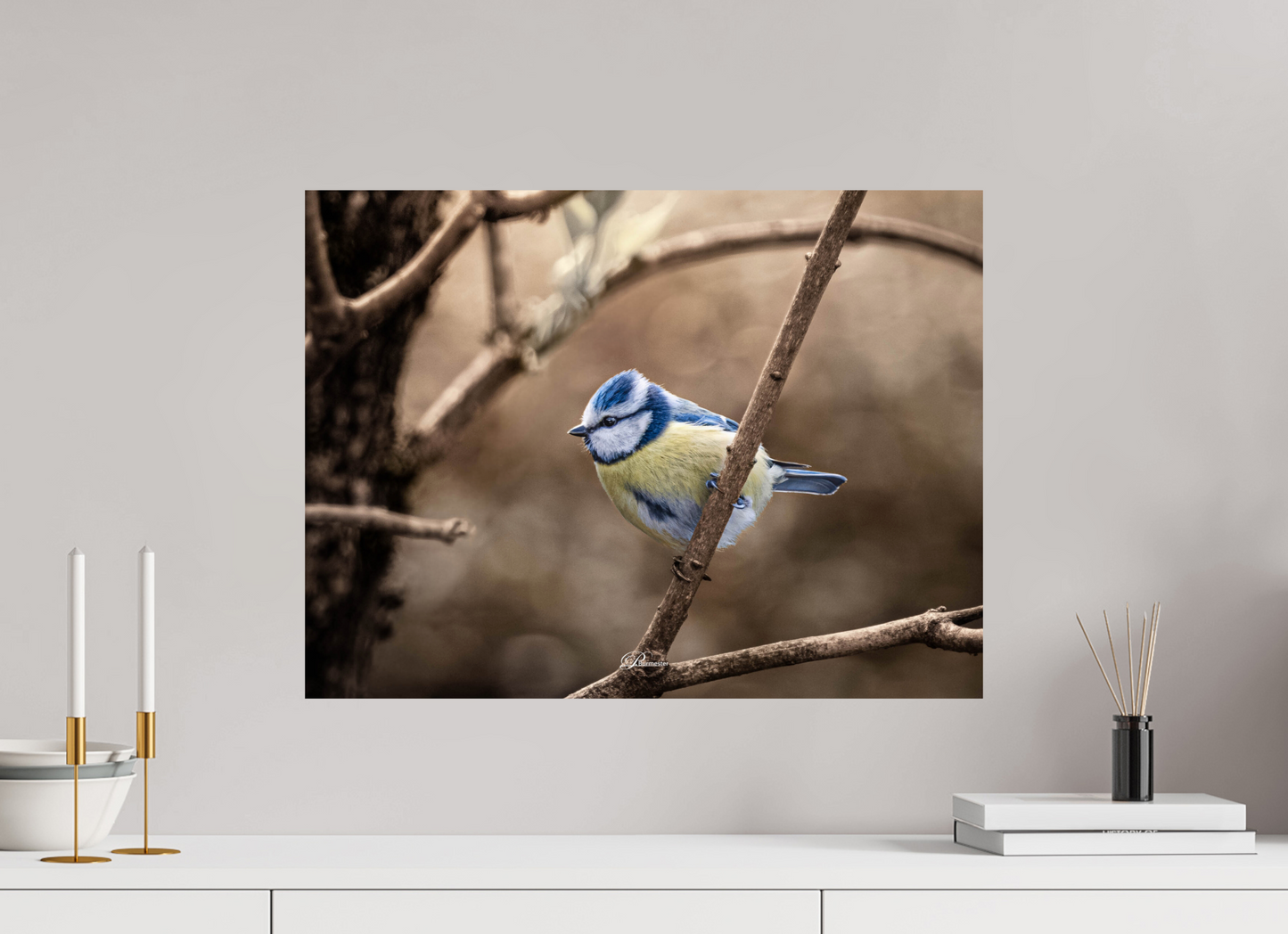 60 x 45 cm, Photo Print On Fuji Crystal DP II Blue tit