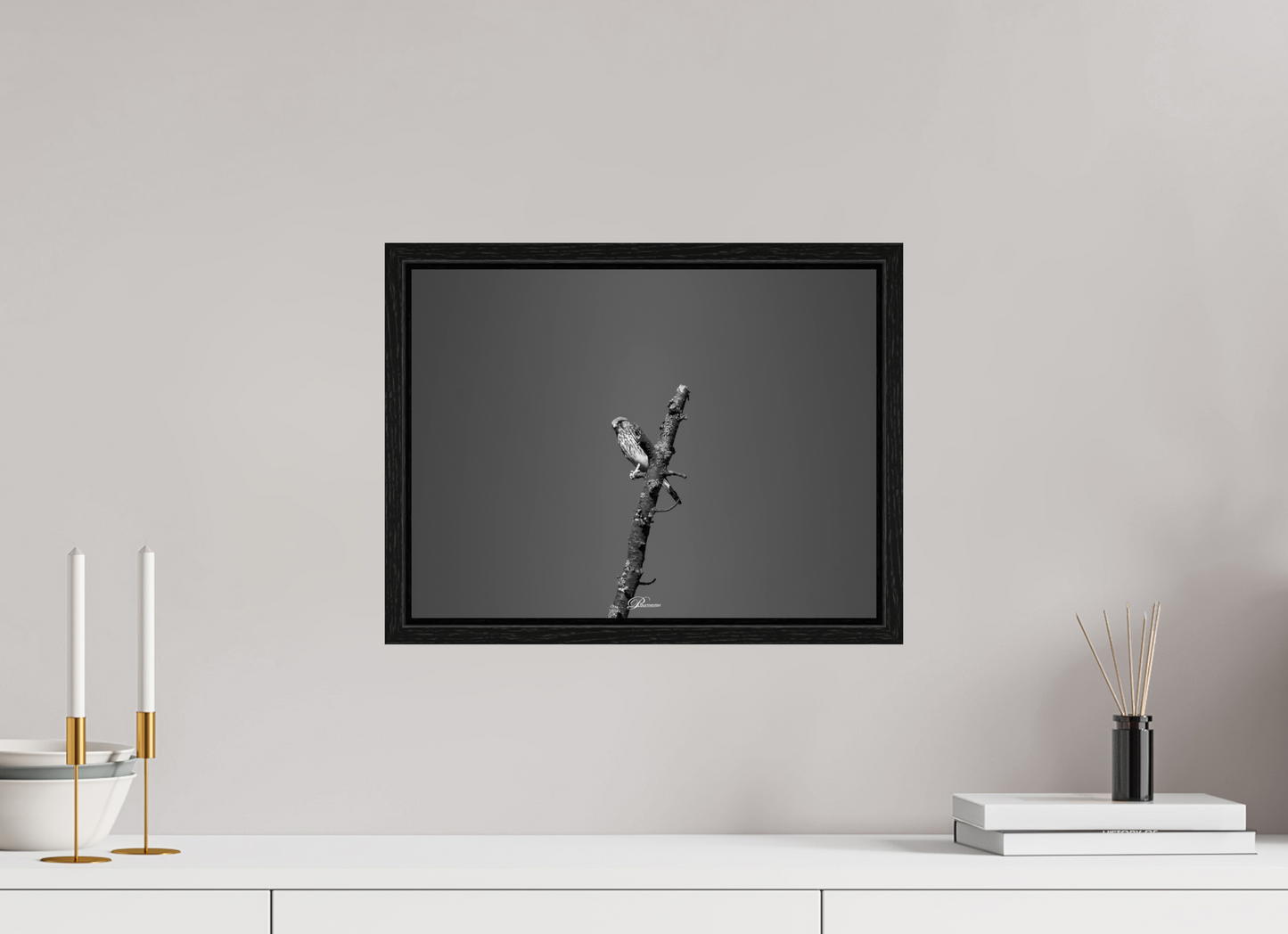 40 x 30 cm, Floater Frame Watching predator