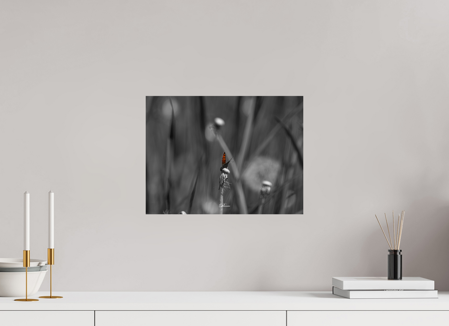40 x 30 cm, Standard print The beauty of the small