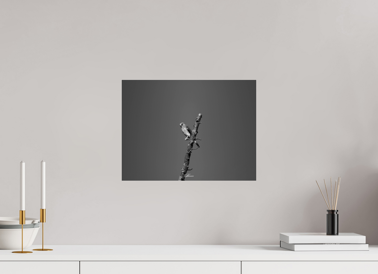 40 x 30 cm, Acrylic glass BW Watching predator