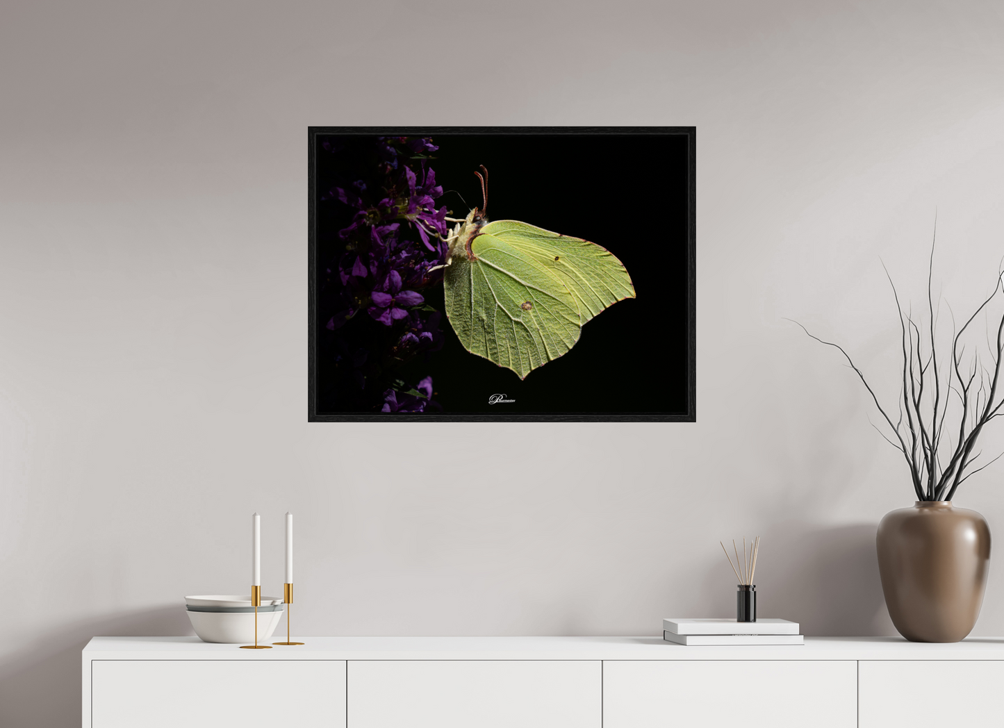 80 x 60 cm, Floater Frame Common brimstone