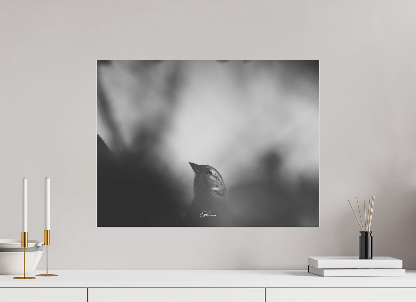 60 x 45 cm, Acrylíc glass BW The Shadow`s Echo