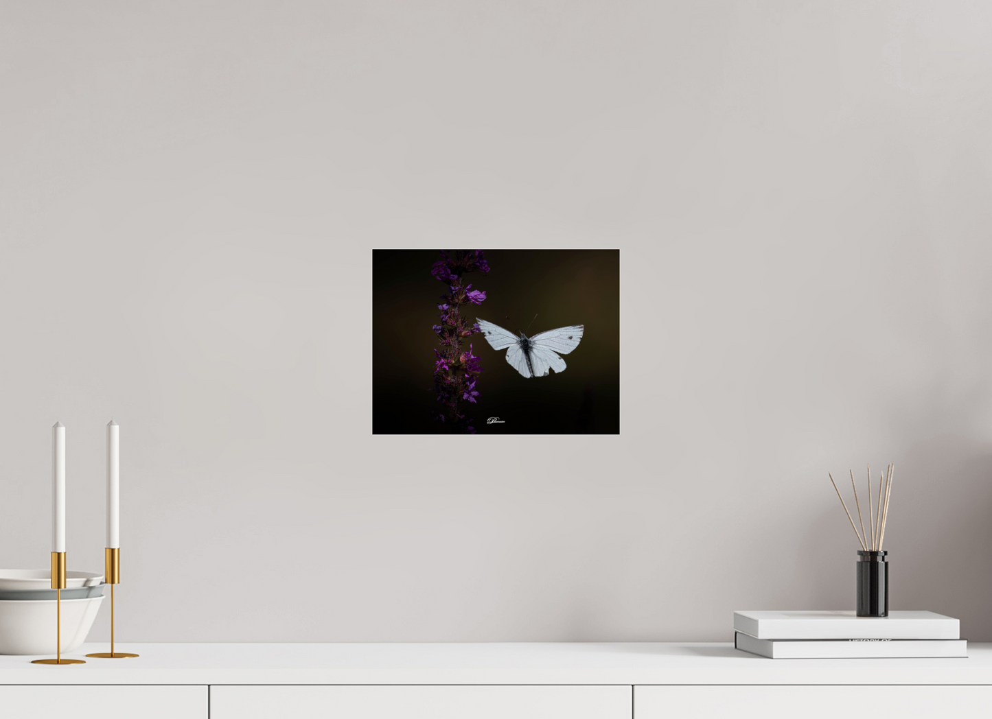 28 x 21 cm, Photo Print Under Acrylic Glass Green-veined white