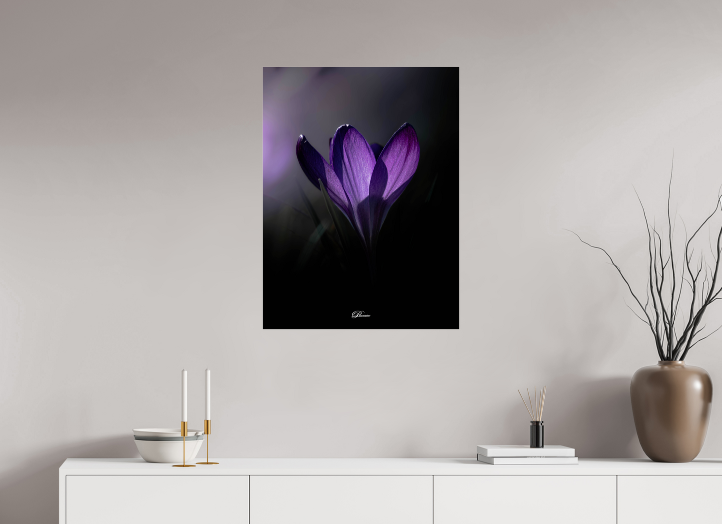 60 x 80 cm, Photo Print Under Acrylic Glass Purple crocus