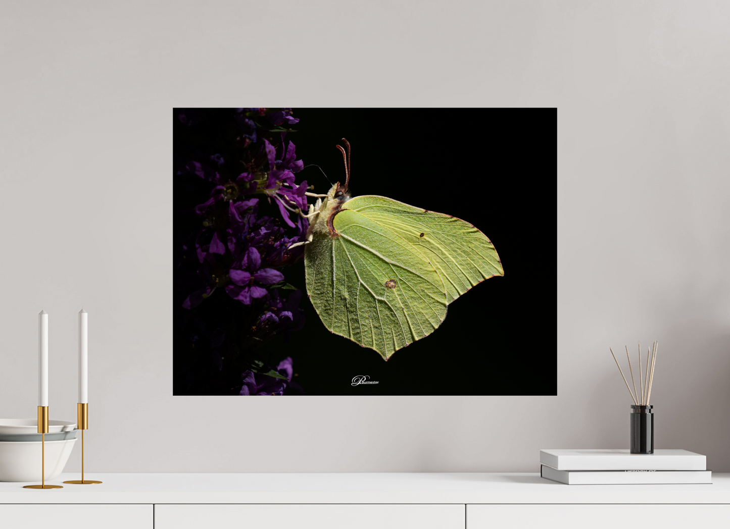 60 x 45 cm, Photo Print On Fuji Crystal DP II Common brimstone