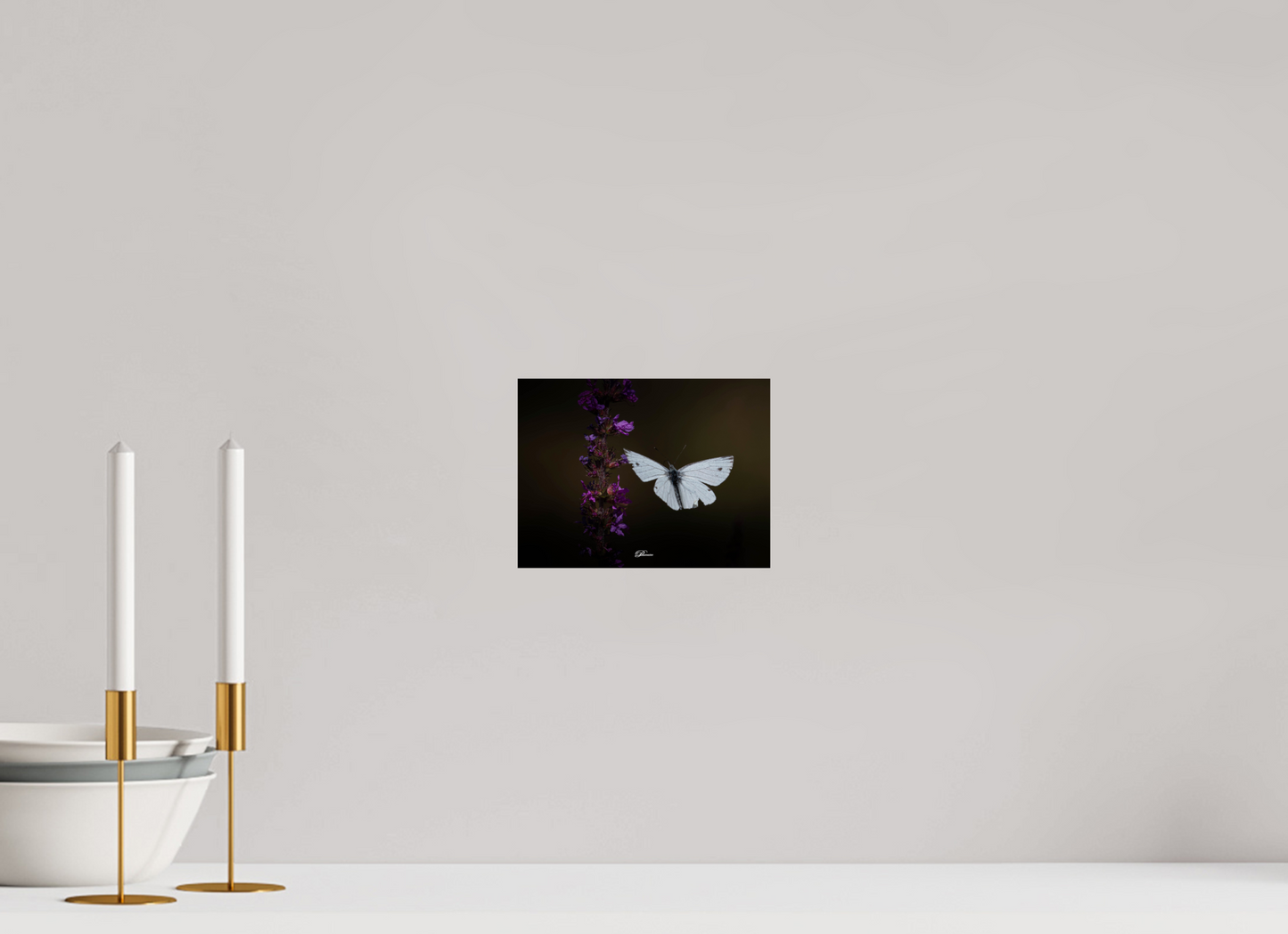 20 x 15 cm, Photo Print On Fuji Crystal DP II Green-veined white