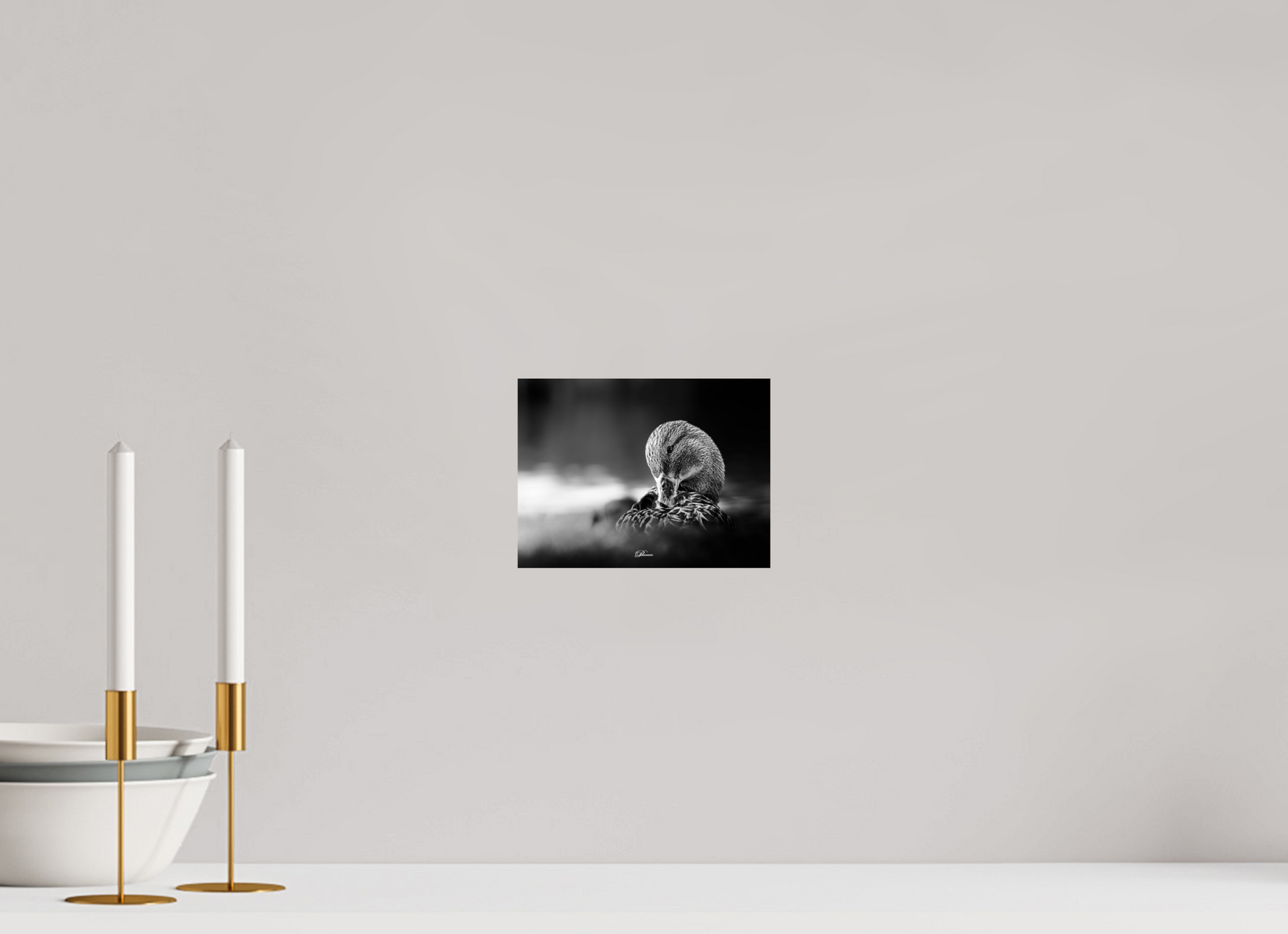 20 x 15 cm, Standard print Shining