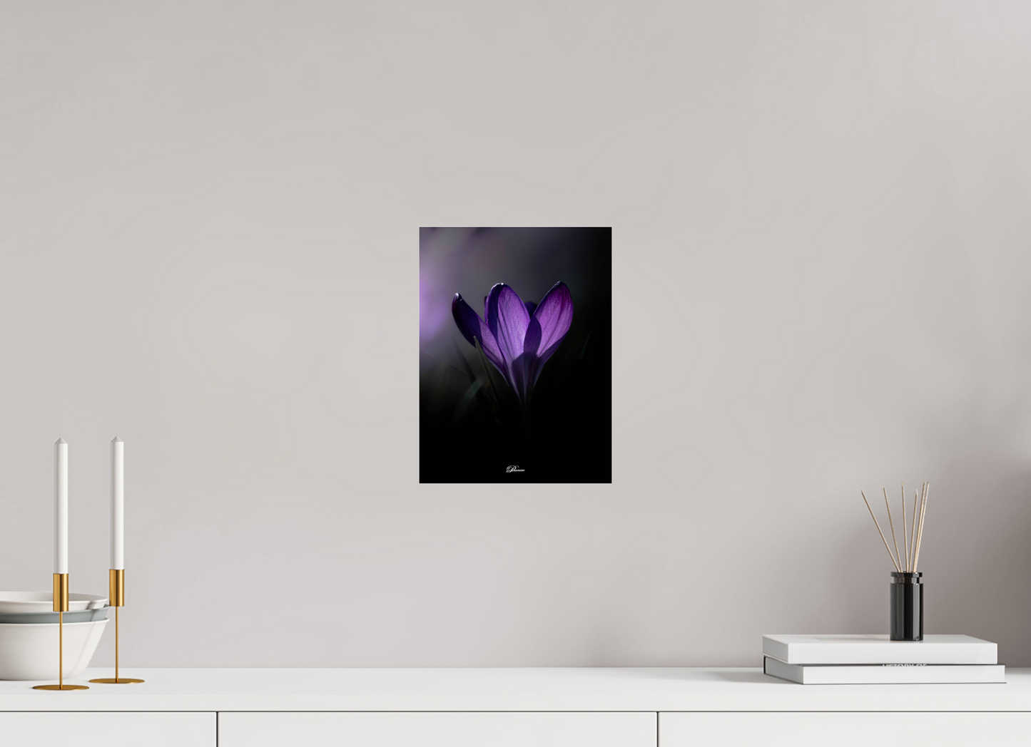 21 x 28 cm, Photo Print Under Acrylic Glass Purple crocus