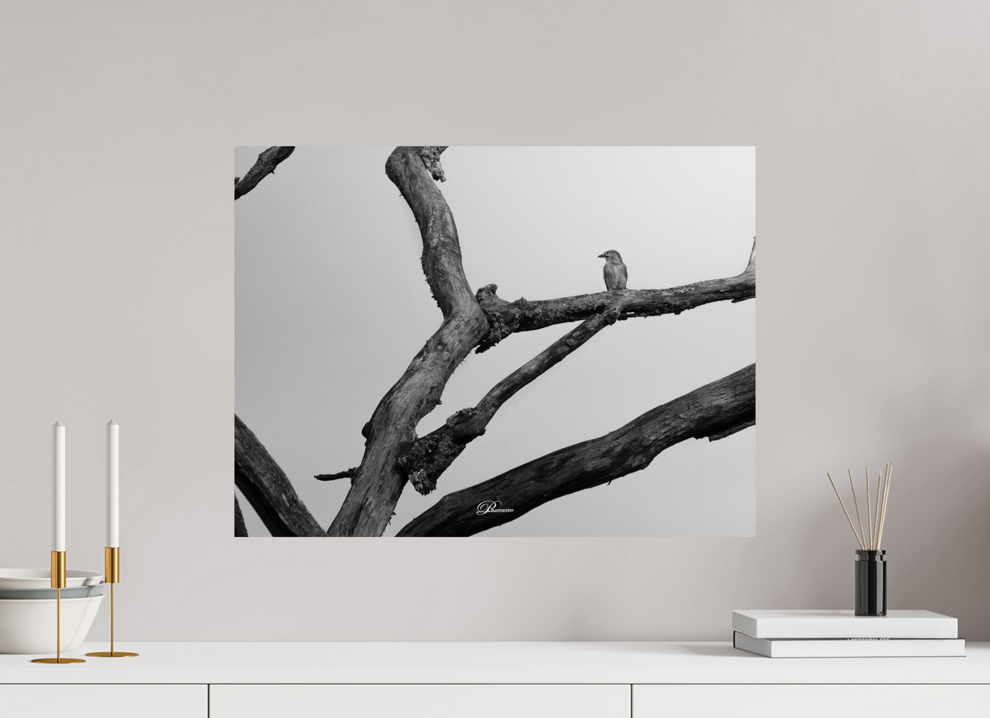 60 x 45 cm, Standard print Lost in transience