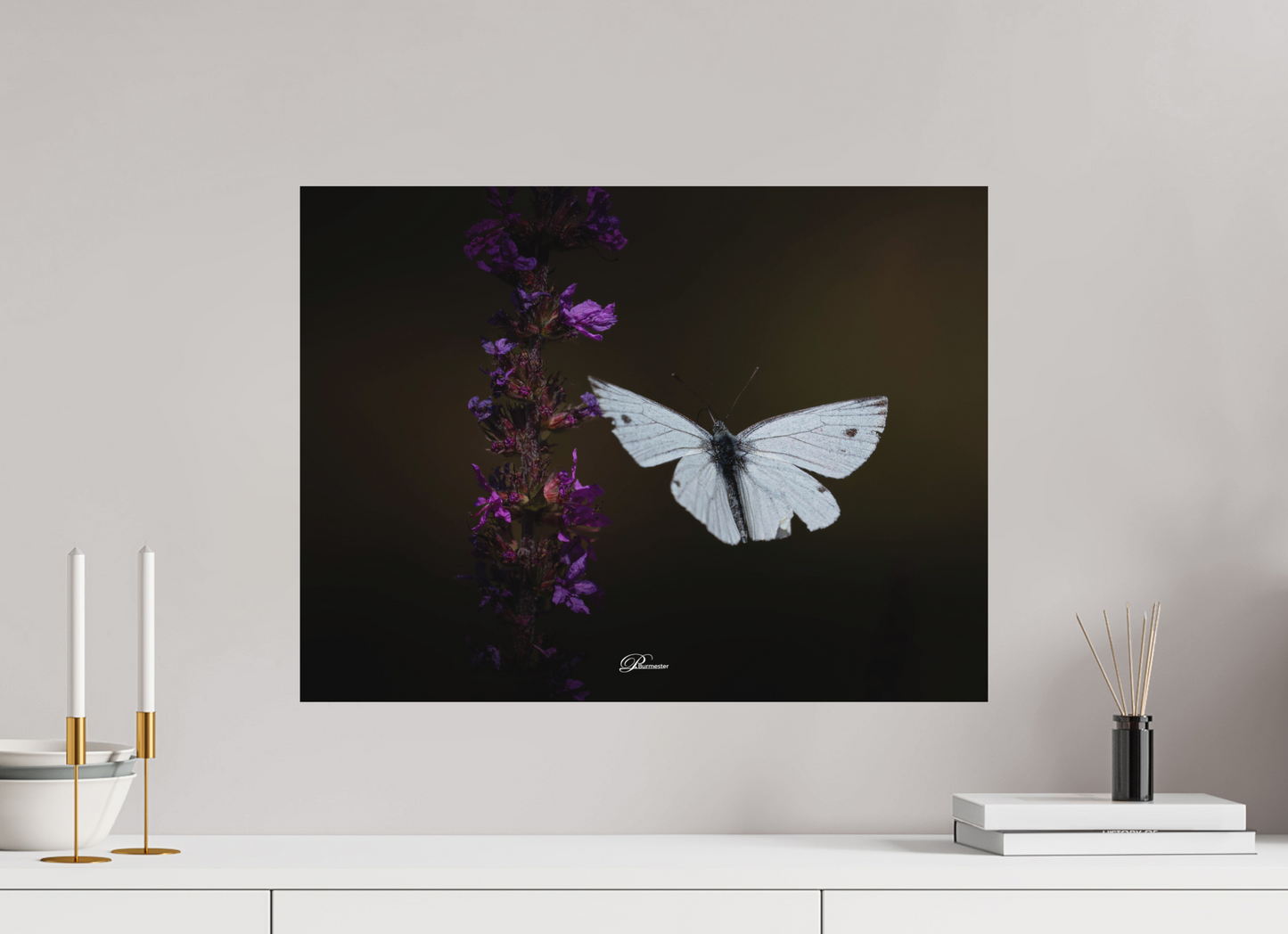 60 x 45 cm, Aluminum Green-veined white