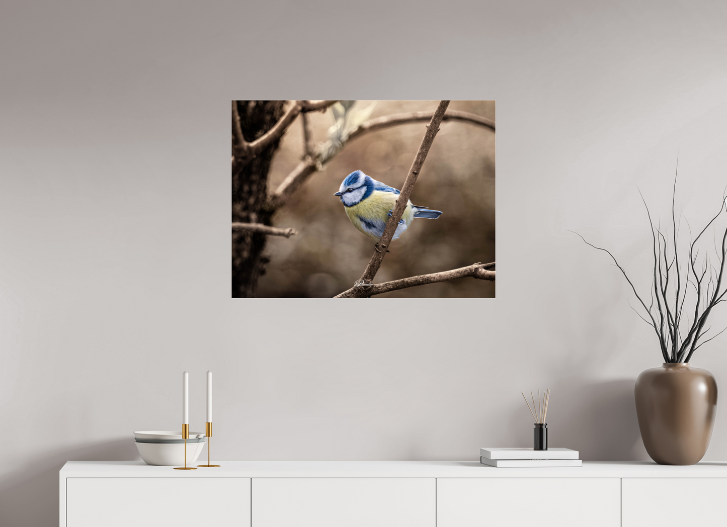 80 x 60 cm, Photo Print Under Acrylic Glass Blue tit