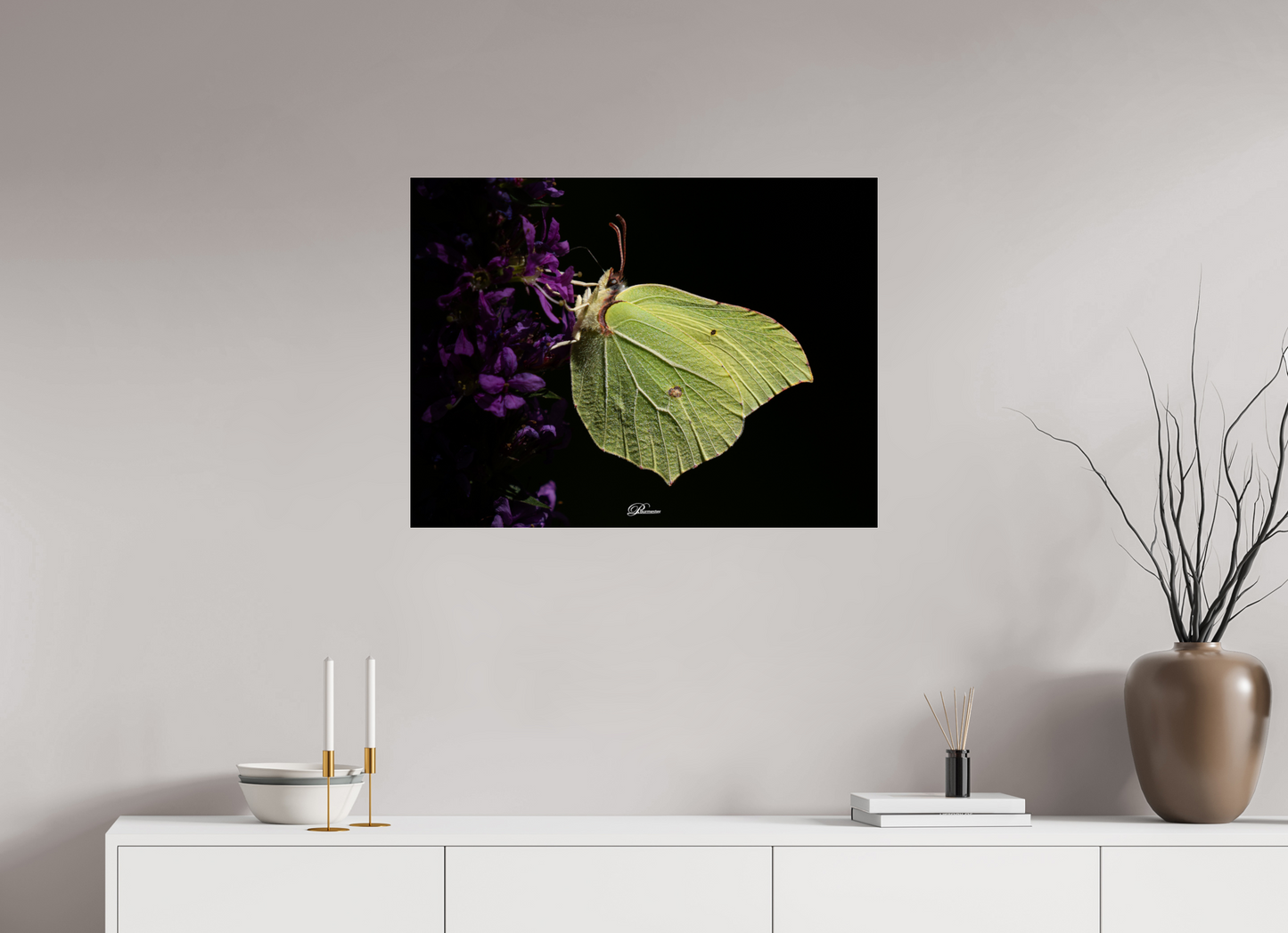 80 x 60 cm, Photo Print Under Acrylic Glass Common brimstone